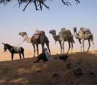 Ksar Ghilane